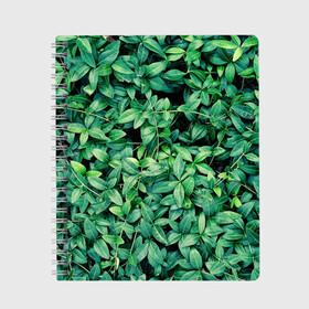 Тетрадь с принтом Барвинок  в Тюмени, 100% бумага | 48 листов, плотность листов — 60 г/м2, плотность картонной обложки — 250 г/м2. Листы скреплены сбоку удобной пружинной спиралью. Уголки страниц и обложки скругленные. Цвет линий — светло-серый
 | art | ветви. | зелень | листья | натуральное | природа | растение