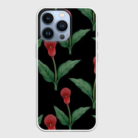 Чехол для iPhone 13 Pro с принтом Красные каллы на черном в Тюмени,  |  | 8 марта | flowers | march 8 | spring | ботаническая иллюстрация | весна | день рождения | зеленый | каллы | красный | лето | любовь | праздник | принт | природа | растения | цветы | черный