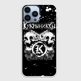 Чехол для iPhone 13 Pro Max с принтом Кукрыниксы черепа в Тюмени,  |  | gorshenev | kukryniksy | rock group | алексей горшенёв | альтернативный | вагон | горшенев | горшок | готик | дмитрий оганян | игорь воронов | кукрыниксы | михаил фомин | панк | панкрок | постпанк | рок группа