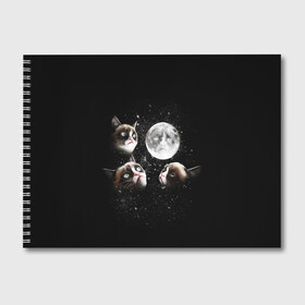 Альбом для рисования с принтом ГРУСТНЫЕ ЛУННЫЕ КОТЫ в Тюмени, 100% бумага
 | матовая бумага, плотность 200 мг. | cat | cosmo | face | memes | night | sky | stars | голова | звезды | интернет | космос | коты | кошки | лицо | луна | мем | ночь | отражение | прикол | рисунок