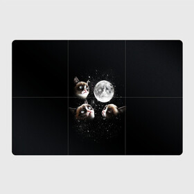 Магнитный плакат 3Х2 с принтом ГРУСТНЫЕ ЛУННЫЕ КОТЫ в Тюмени, Полимерный материал с магнитным слоем | 6 деталей размером 9*9 см | cat | cosmo | face | memes | night | sky | stars | голова | звезды | интернет | космос | коты | кошки | лицо | луна | мем | ночь | отражение | прикол | рисунок