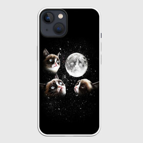 Чехол для iPhone 13 с принтом ГРУСТНЫЕ ЛУННЫЕ КОТЫ в Тюмени,  |  | cat | cosmo | face | memes | night | sky | stars | голова | звезды | интернет | космос | коты | кошки | лицо | луна | мем | ночь | отражение | прикол | рисунок