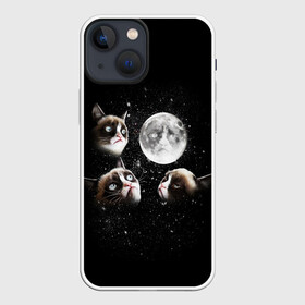 Чехол для iPhone 13 mini с принтом ГРУСТНЫЕ ЛУННЫЕ КОТЫ в Тюмени,  |  | Тематика изображения на принте: cat | cosmo | face | memes | night | sky | stars | голова | звезды | интернет | космос | коты | кошки | лицо | луна | мем | ночь | отражение | прикол | рисунок