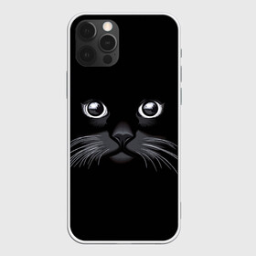 Чехол для iPhone 12 Pro с принтом Кот Журбей в Тюмени, силикон | область печати: задняя сторона чехла, без боковых панелей | большие глаза | голова кота | милота. | мордочка | настроение | позитив | усики | черный