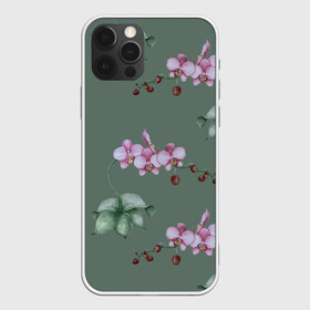 Чехол для iPhone 12 Pro Max с принтом Розовые орхидеи в Тюмени, Силикон |  | 8 марта | flowers | march 8 | spring | ботаническая иллюстрация | весна | день рождения | зеленый | лето | любовь | орхидея | праздник | принт | природа | растения | розовый | цветы