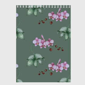 Скетчбук с принтом Розовые орхидеи в Тюмени, 100% бумага
 | 48 листов, плотность листов — 100 г/м2, плотность картонной обложки — 250 г/м2. Листы скреплены сверху удобной пружинной спиралью | Тематика изображения на принте: 8 марта | flowers | march 8 | spring | ботаническая иллюстрация | весна | день рождения | зеленый | лето | любовь | орхидея | праздник | принт | природа | растения | розовый | цветы