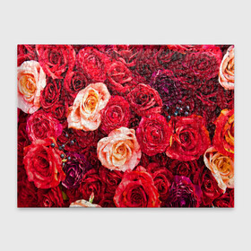Обложка для студенческого билета с принтом Букет роз в Тюмени, натуральная кожа | Размер: 11*8 см; Печать на всей внешней стороне | Тематика изображения на принте: большие | букет | девушкам | красивые | пышные | розы | цветы | яркие