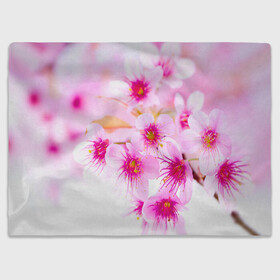Плед 3D с принтом Весеннее цветение вишни в Тюмени, 100% полиэстер | закругленные углы, все края обработаны. Ткань не мнется и не растягивается | Тематика изображения на принте: бутоны | весна | девушкам | красивые | розовые | сакура | цветение | цветы | яблоня