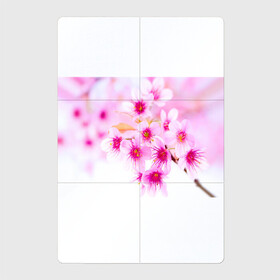 Магнитный плакат 2Х3 с принтом Весеннее цветение вишни в Тюмени, Полимерный материал с магнитным слоем | 6 деталей размером 9*9 см | бутоны | весна | девушкам | красивые | розовые | сакура | цветение | цветы | яблоня