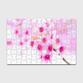 Головоломка Пазл магнитный 126 элементов с принтом Весеннее цветение вишни в Тюмени, полимерный материал с магнитным слоем | 126 деталей, размер изделия —  180*270 мм | бутоны | весна | девушкам | красивые | розовые | сакура | цветение | цветы | яблоня