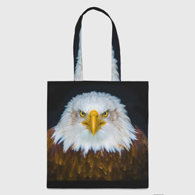 Шоппер 3D с принтом Белоголовый орлан в Тюмени, 100% полиэстер | Плотность: 200 г/м2; Размер: 34×35 см; Высота лямок: 30 см | грозный | красивый | опасный | орлан | пернатый | птица | хищный