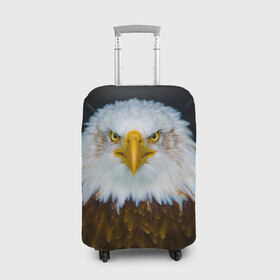 Чехол для чемодана 3D с принтом Белоголовый орлан в Тюмени, 86% полиэфир, 14% спандекс | двустороннее нанесение принта, прорези для ручек и колес | грозный | красивый | опасный | орлан | пернатый | птица | хищный