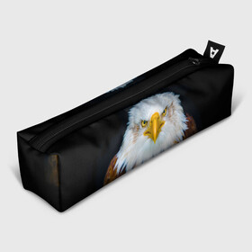 Пенал школьный 3D с принтом Белоголовый орлан в Тюмени, 100% полиэстер | плотная ткань, застежка на молнии | Тематика изображения на принте: грозный | красивый | опасный | орлан | пернатый | птица | хищный
