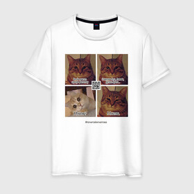Мужская футболка хлопок с принтом Котики фантаста в Тюмени, 100% хлопок | прямой крой, круглый вырез горловины, длина до линии бедер, слегка спущенное плечо. | Тематика изображения на принте: cats | humour | joke | meme | sarcasm | writers | коты | мем | писатели | сарказм | юмор