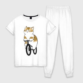 Женская пижама хлопок с принтом Котик на велосипеде в Тюмени, 100% хлопок | брюки и футболка прямого кроя, без карманов, на брюках мягкая резинка на поясе и по низу штанин | арт | велосипед | ветер | кот | котёнок | кошка | милая кошка | милый кот | милый котёнок | отдых | отдыхает | пончик | рисунок