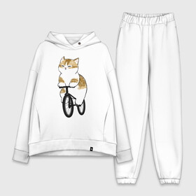 Женский костюм хлопок Oversize с принтом Котик на велосипеде в Тюмени,  |  | арт | велосипед | ветер | кот | котёнок | кошка | милая кошка | милый кот | милый котёнок | отдых | отдыхает | пончик | рисунок