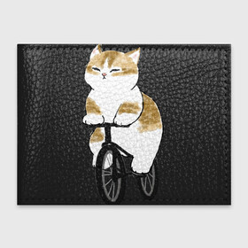 Обложка для студенческого билета с принтом Котик на велосипеде в Тюмени, натуральная кожа | Размер: 11*8 см; Печать на всей внешней стороне | Тематика изображения на принте: арт | велосипед | ветер | кот | котёнок | кошка | милая кошка | милый кот | милый котёнок | отдых | отдыхает | пончик | рисунок