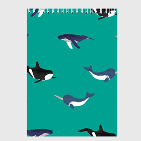 Скетчбук с принтом Нарвал, киты, касатка паттерн в Тюмени, 100% бумага
 | 48 листов, плотность листов — 100 г/м2, плотность картонной обложки — 250 г/м2. Листы скреплены сверху удобной пружинной спиралью | изумрудно зеленый цвет | касатки | киты | морская фауна | морские животные | морские жители | нарвал | океан | паттерн