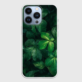 Чехол для iPhone 13 Pro с принтом Тропическая листва | Тропики (Z) в Тюмени,  |  | jungle | tropical foliage | tropical tree | tropical tree leaves | tropics | джунгли | листья тропического дерева | тропики | тропическая листва | тропическое дерево