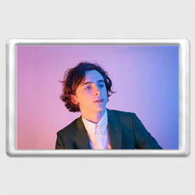 Магнит 45*70 с принтом Timothee Chalamet в Тюмени, Пластик | Размер: 78*52 мм; Размер печати: 70*45 | Тематика изображения на принте: timothee chalamet | тимоти шаламе | фото