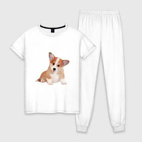 Женская пижама хлопок с принтом Fluffy Corgi в Тюмени, 100% хлопок | брюки и футболка прямого кроя, без карманов, на брюках мягкая резинка на поясе и по низу штанин | corgi | dog | fluffy | puppy | корги | милый | пушистый | собака | щенок