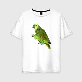 Женская футболка хлопок Oversize с принтом Попугайчик в Тюмени, 100% хлопок | свободный крой, круглый ворот, спущенный рукав, длина до линии бедер
 | bird | parrot | wings | крылья | попугай | птица