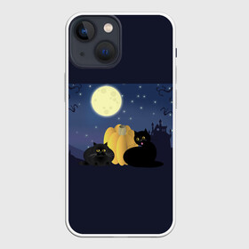 Чехол для iPhone 13 mini с принтом Котострашилка в Тюмени,  |  | halloween | helloween | ведьма | котики | мистика | мистический дом | ночь | страшно | тыква | хеллоуин | хэллоуин