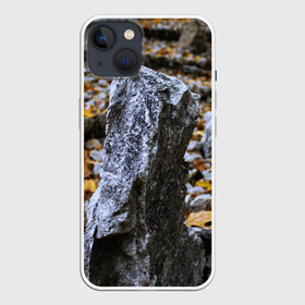Чехол для iPhone 13 с принтом Осенняя лень в Тюмени,  |  | апатия | вдохновение | грусть | депрессия | желтый | камень | камни | камушек | кризис | лень | листочек | листья | осень | природа | сезон | творчество | усталость