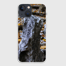 Чехол для iPhone 13 mini с принтом Осенняя лень в Тюмени,  |  | апатия | вдохновение | грусть | депрессия | желтый | камень | камни | камушек | кризис | лень | листочек | листья | осень | природа | сезон | творчество | усталость