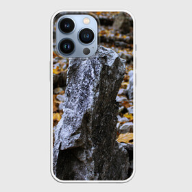 Чехол для iPhone 13 Pro с принтом Осенняя лень в Тюмени,  |  | апатия | вдохновение | грусть | депрессия | желтый | камень | камни | камушек | кризис | лень | листочек | листья | осень | природа | сезон | творчество | усталость
