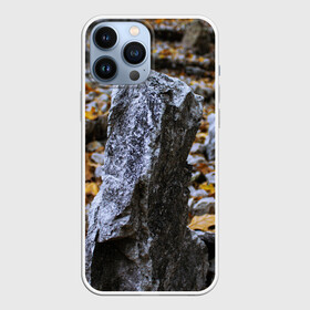 Чехол для iPhone 13 Pro Max с принтом Осенняя лень в Тюмени,  |  | апатия | вдохновение | грусть | депрессия | желтый | камень | камни | камушек | кризис | лень | листочек | листья | осень | природа | сезон | творчество | усталость