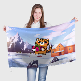 Флаг 3D с принтом Новогодний тигренок с подарком в Тюмени, 100% полиэстер | плотность ткани — 95 г/м2, размер — 67 х 109 см. Принт наносится с одной стороны | 2022 | год тигра | новый год | новый год 2022 | символ года | тигр | тигренок | тигрица | тигры