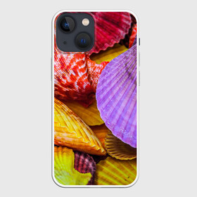 Чехол для iPhone 13 mini с принтом Разноцветные ракушки  multicolored seashells в Тюмени,  |  | holiday | multicolored seashells | sea | sea house | summer | лагуна | лето | моллюск | море | морская тема | морские обитатели | морские ракушки | морской пляж | океан | отпуск | перламутр | пляж | подводный мир