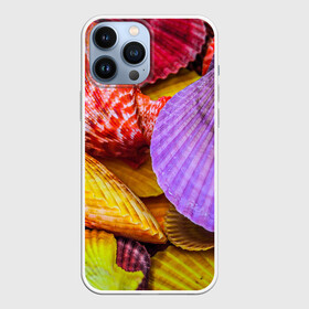 Чехол для iPhone 13 Pro Max с принтом Разноцветные ракушки  multicolored seashells в Тюмени,  |  | Тематика изображения на принте: holiday | multicolored seashells | sea | sea house | summer | лагуна | лето | моллюск | море | морская тема | морские обитатели | морские ракушки | морской пляж | океан | отпуск | перламутр | пляж | подводный мир