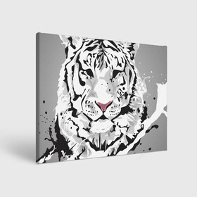 Холст прямоугольный с принтом Белый снежный тигр в Тюмени, 100% ПВХ |  | 2022 | art | beast | new year | predator | splashes and drops | white tiger | year of the tiger | белый тигр | брызги и капли | год тигра | зверь | искусство | новый год | хищник