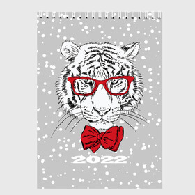 Скетчбук с принтом Белый тигр с красным бантом в Тюмени, 100% бумага
 | 48 листов, плотность листов — 100 г/м2, плотность картонной обложки — 250 г/м2. Листы скреплены сверху удобной пружинной спиралью | 2022 | animal | fangs | merry christmas | new year | predator | red bow | severe grin | snow | white water tiger | winter | year of the tiger | белый водяной тигр | год тигра | зверь | зима | клыки | красный бант | новый год | очки | снег | суро