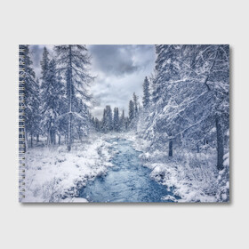 Альбом для рисования с принтом СНЕЖНЫЙ ПЕЙЗАЖ в Тюмени, 100% бумага
 | матовая бумага, плотность 200 мг. | Тематика изображения на принте: fores | ice | snow | white | winter | белый | вода | зима | иней | красота | лед | лес | мороз | небо | новый год | пейзаж | природа | река | ручей | снег