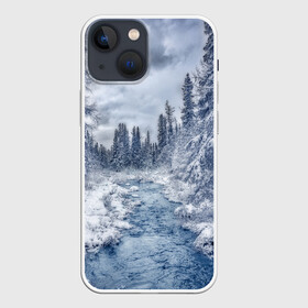 Чехол для iPhone 13 mini с принтом СНЕЖНЫЙ ПЕЙЗАЖ в Тюмени,  |  | fores | ice | snow | white | winter | белый | вода | зима | иней | красота | лед | лес | мороз | небо | новый год | пейзаж | природа | река | ручей | снег