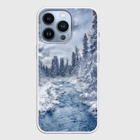 Чехол для iPhone 13 Pro с принтом СНЕЖНЫЙ ПЕЙЗАЖ в Тюмени,  |  | fores | ice | snow | white | winter | белый | вода | зима | иней | красота | лед | лес | мороз | небо | новый год | пейзаж | природа | река | ручей | снег