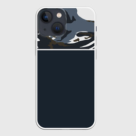 Чехол для iPhone 13 mini с принтом Камуфляж 2.0 в Тюмени,  |  | военное | камуфляж | пестрое | пестрый | яркий