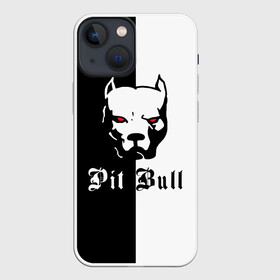 Чехол для iPhone 13 mini с принтом Pit Bull (боец) в Тюмени,  |  | boxer | bulldog | fighting dog | pit bull | барбос | бобик | бойцовская собака | бойцовский пес | боксер | бульдог | волкодав | год со | друг человека | животное | зверь | ищейка | кинолог | кость | лайка | лапы | лев | пес