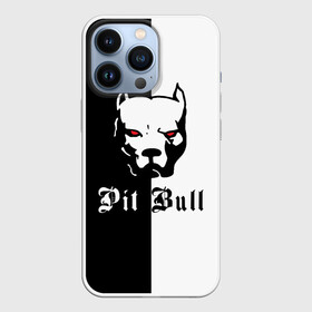 Чехол для iPhone 13 Pro с принтом Pit Bull (боец) в Тюмени,  |  | boxer | bulldog | fighting dog | pit bull | барбос | бобик | бойцовская собака | бойцовский пес | боксер | бульдог | волкодав | год со | друг человека | животное | зверь | ищейка | кинолог | кость | лайка | лапы | лев | пес