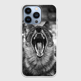 Чехол для iPhone 13 Pro с принтом Волчья пасть, зевает в Тюмени,  |  | Тематика изображения на принте: wolf | wolfs | волк | волка | волки | волчара | волчья | животные | звери | зевает | лес | оскал | пасть | природа