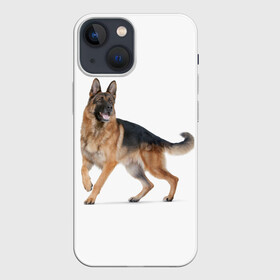 Чехол для iPhone 13 mini с принтом немчики в Тюмени,  |  | german shepherd | немец | немецкая овчарка | служебник | собака