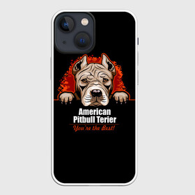 Чехол для iPhone 13 mini с принтом Американский Питбультерьер (Pit Bull) в Тюмени,  |  | american pit bull terrier | boxer | bulldog | fighting dog | pit bull | американский питбультерьер | бойцовская собака | бойцовский пес | боксер | бульдог | волкодав | друг человека | кинолог | пес | питбуль | питбультерьер