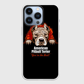 Чехол для iPhone 13 Pro с принтом Американский Питбультерьер (Pit Bull) в Тюмени,  |  | american pit bull terrier | boxer | bulldog | fighting dog | pit bull | американский питбультерьер | бойцовская собака | бойцовский пес | боксер | бульдог | волкодав | друг человека | кинолог | пес | питбуль | питбультерьер