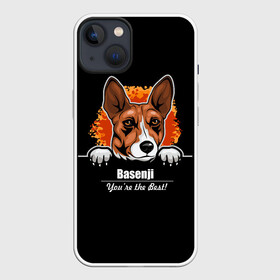 Чехол для iPhone 13 с принтом Басенджи (Basenji) в Тюмени,  |  | african dog | animal | basenji | congo terrier | dog | африканская собака | басенджи | год собаки | друг человека | животное | зверь | кинолог | конго терьер | пёс | собака басенджи | собаковод | четвероногий