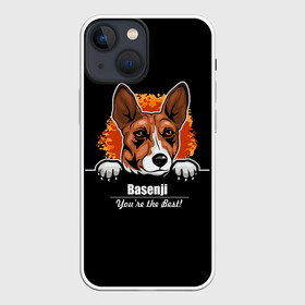 Чехол для iPhone 13 mini с принтом Басенджи (Basenji) в Тюмени,  |  | african dog | animal | basenji | congo terrier | dog | африканская собака | басенджи | год собаки | друг человека | животное | зверь | кинолог | конго терьер | пёс | собака басенджи | собаковод | четвероногий