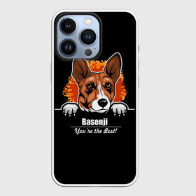 Чехол для iPhone 13 Pro с принтом Басенджи (Basenji) в Тюмени,  |  | african dog | animal | basenji | congo terrier | dog | африканская собака | басенджи | год собаки | друг человека | животное | зверь | кинолог | конго терьер | пёс | собака басенджи | собаковод | четвероногий