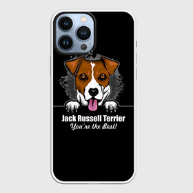Чехол для iPhone 13 Pro Max с принтом Джек Рассел Терьер (Jack Russell Terrier) в Тюмени,  |  | Тематика изображения на принте: animal | dog terrier | jack russell terrier | год собаки | джек рассел терьер | друг человека | животное | зверь | кинолог | охотничья собака | пёс | пёсик | собака джек рассел терьер | собаковод | терьер